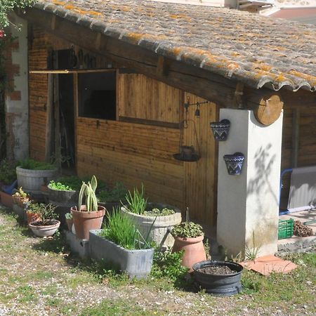 Hotel La Ferme De Tonton Jules 2 Entraigues-sur-la-Sorgue Zewnętrze zdjęcie